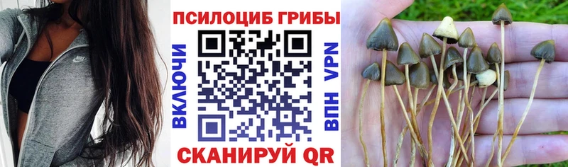 Псилоцибиновые грибы прущие грибы  Реж 
